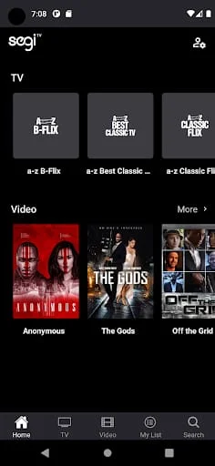 Segi.tv Screenshot 1