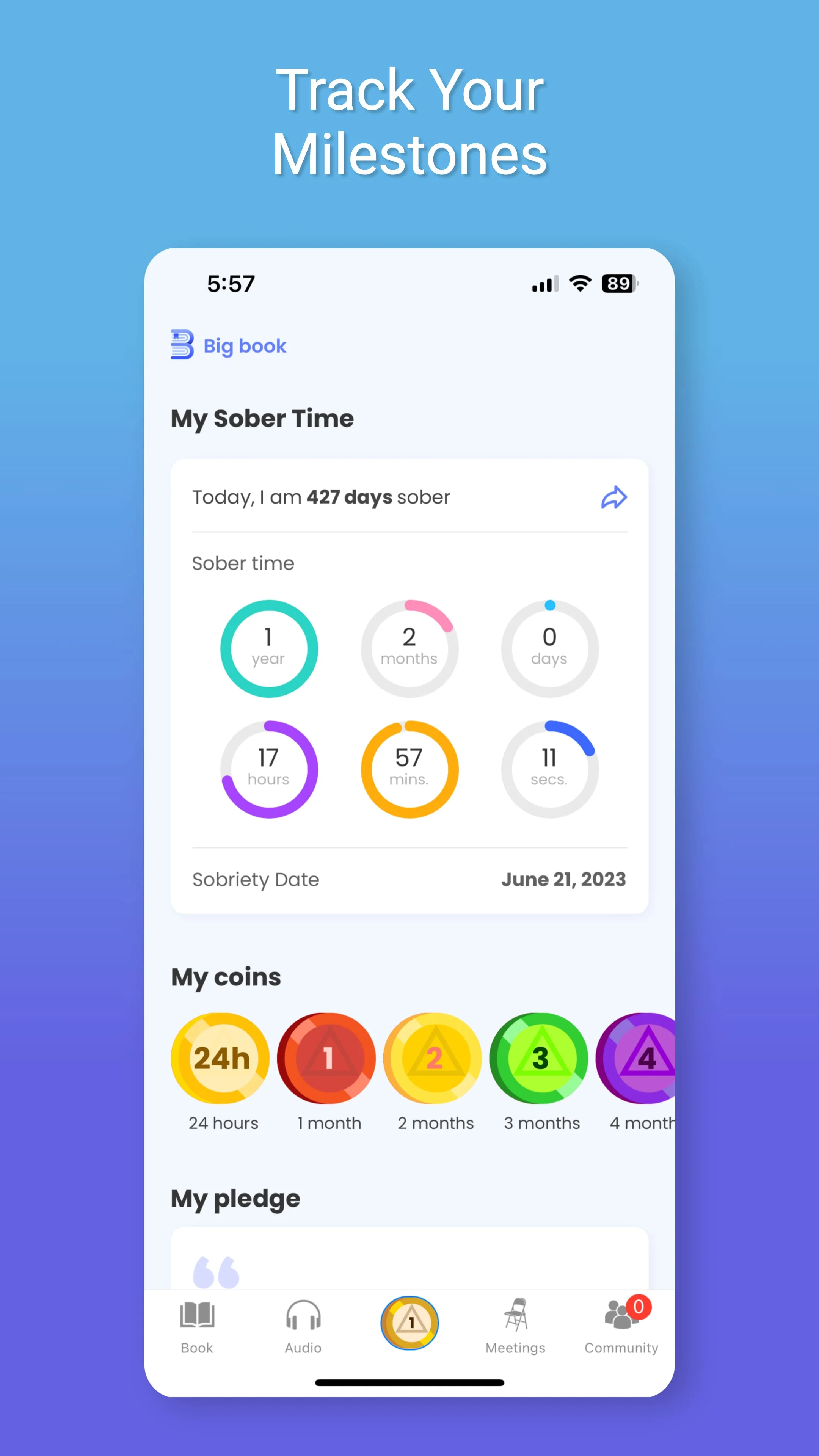 AA Big Book Screenshot 4