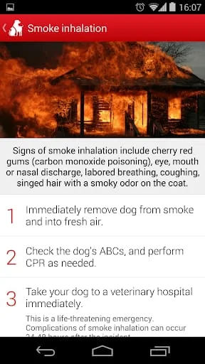 Pet First Aid Screenshot 4
