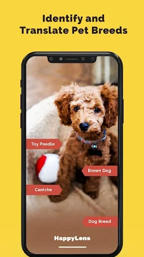 Happy Lens Screenshot 3