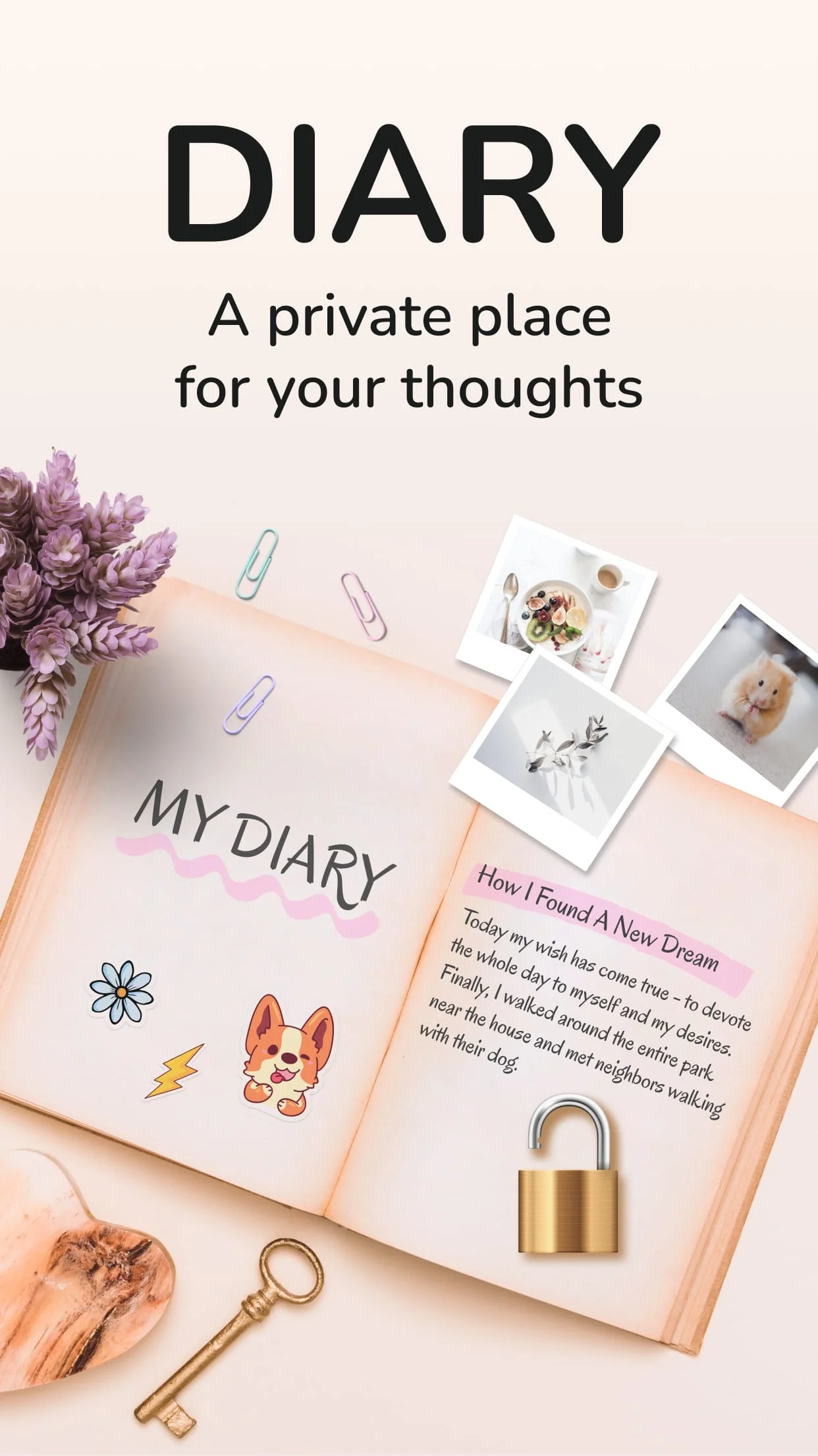 Daily Diary: Journal with Lock Screenshot 1