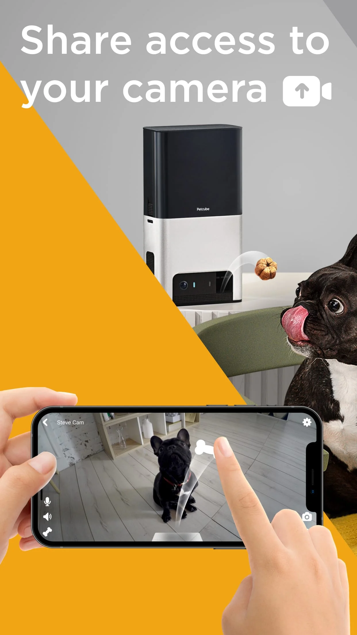 Petcube Screenshot 3