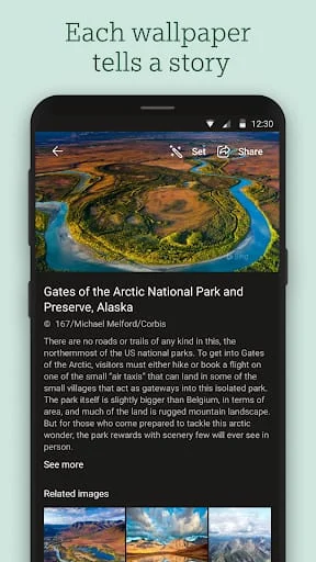 Bing Wallpapers Screenshot 3