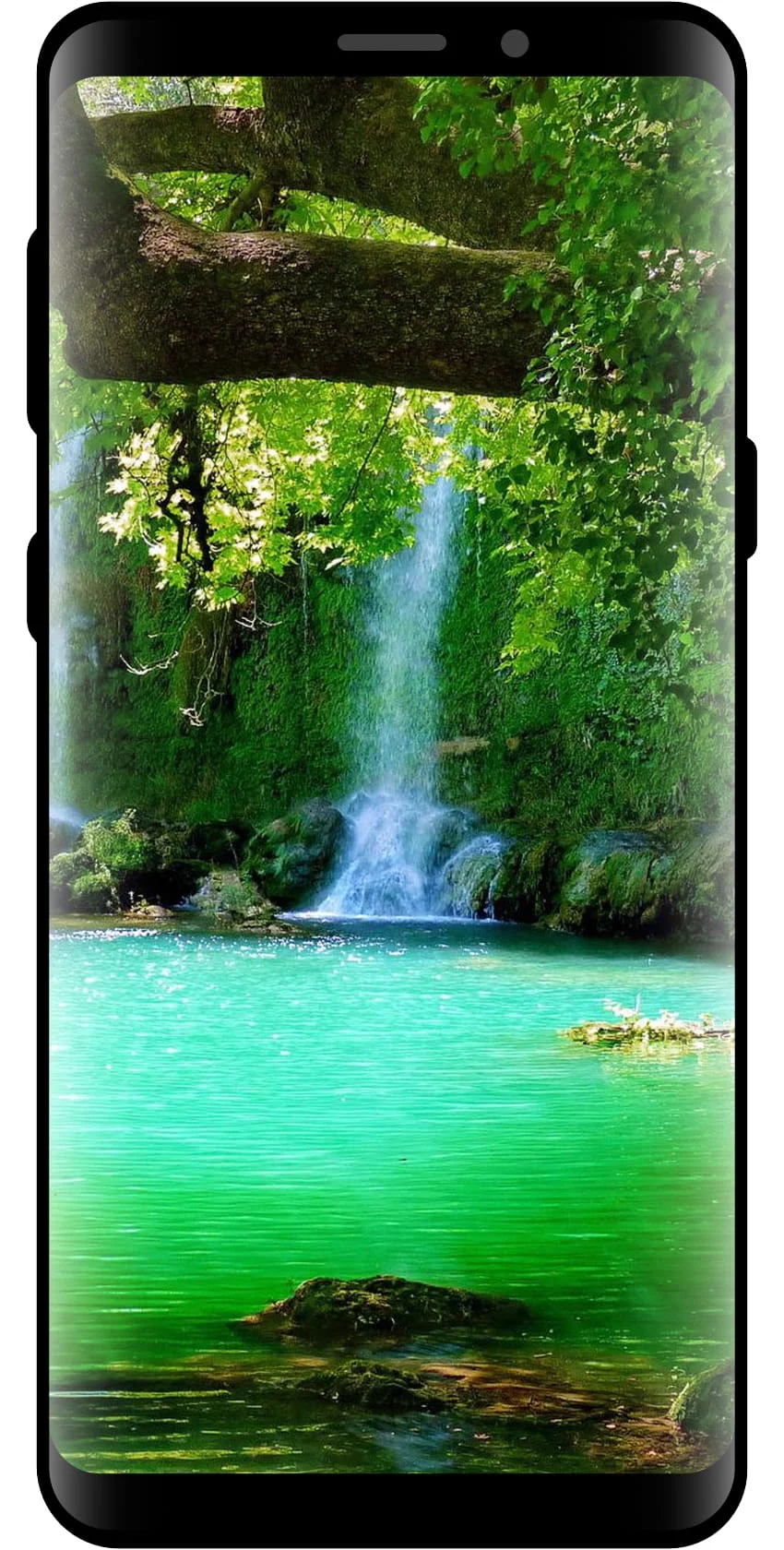 10000 Nature Wallpapers Screenshot 4