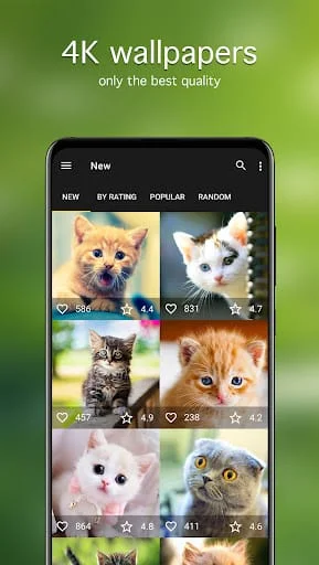 Cat Wallpapers & Cute Kittens Screenshot 2