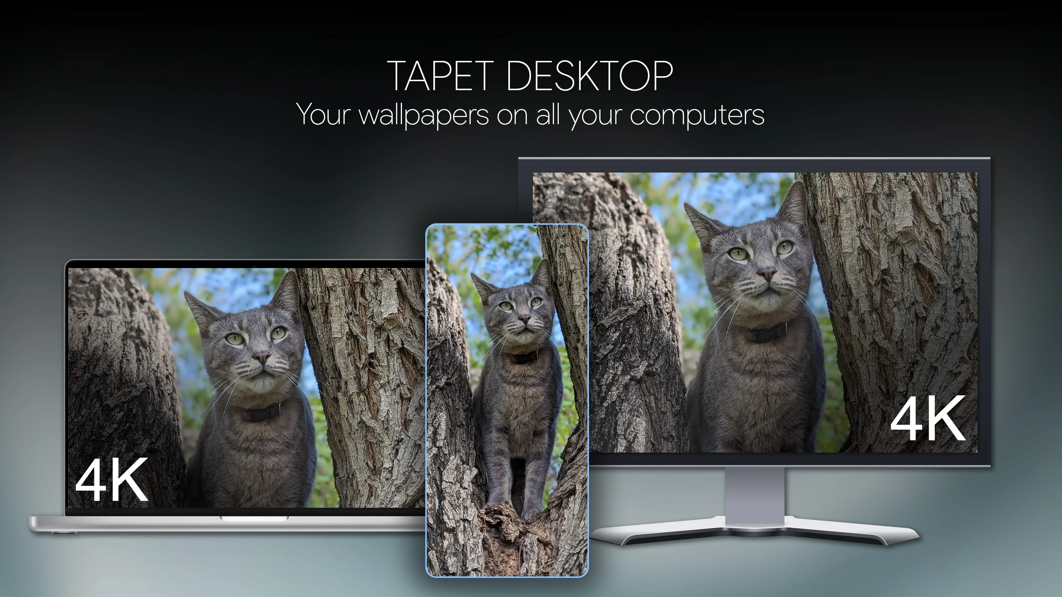 Tapet Wallpapers Generator Screenshot 4