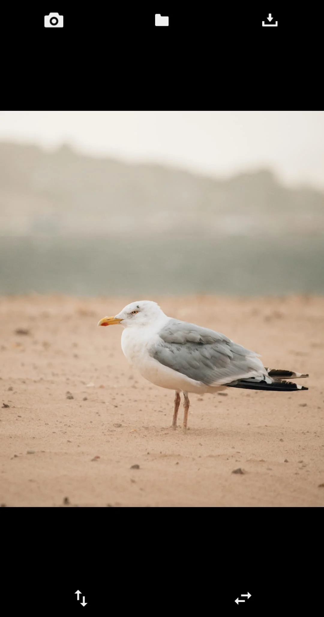 Flip Image (Mirror Image) Screenshot 1