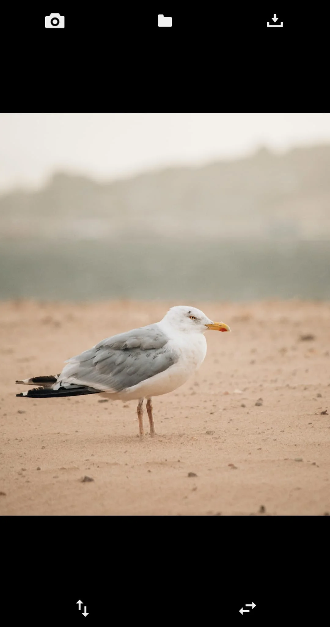 Flip Image (Mirror Image) Screenshot 2