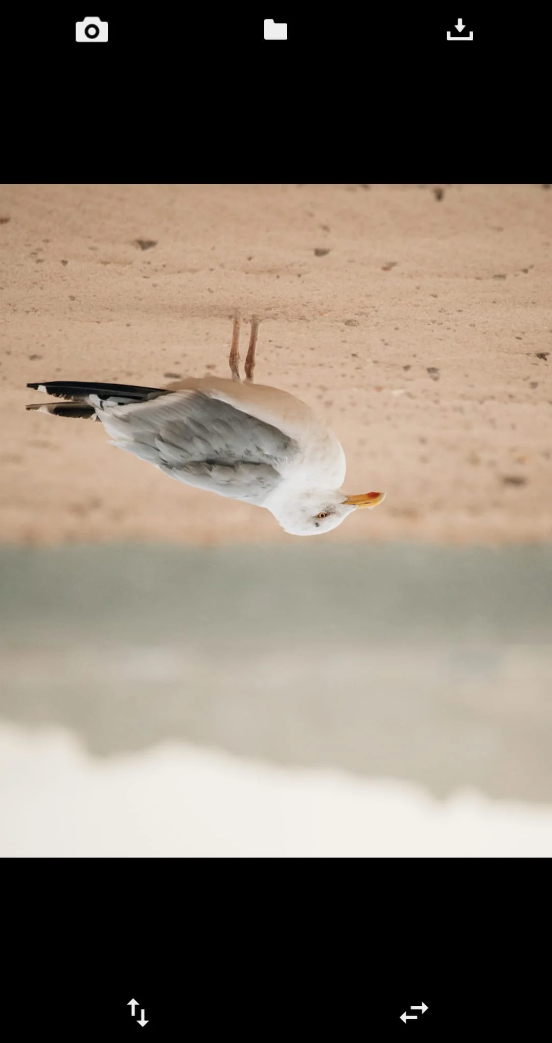 Flip Image (Mirror Image) Screenshot 3