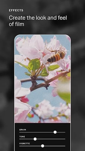 VSCO: Photo & Video Editor Screenshot 4