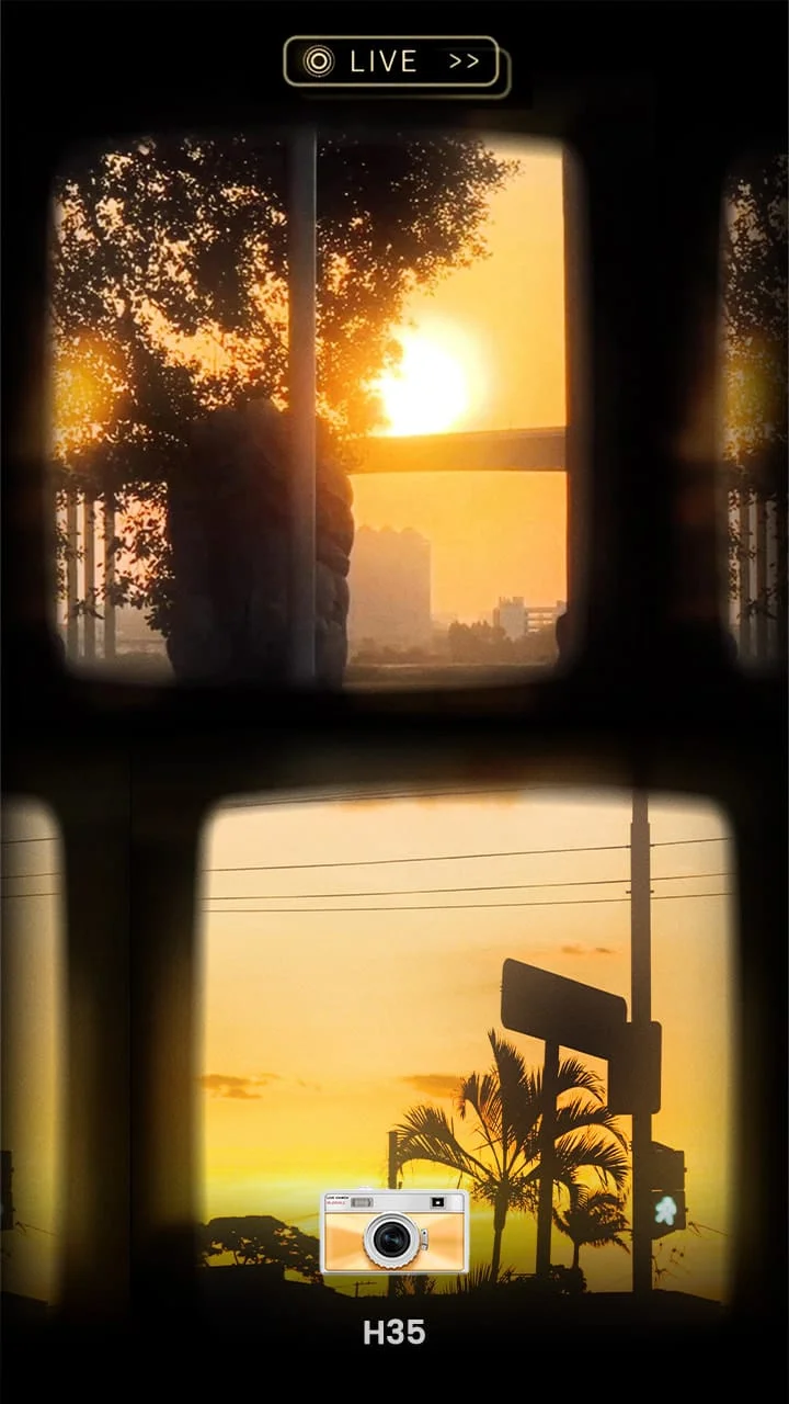 OldRoll - Vintage Film Camera Screenshot 4