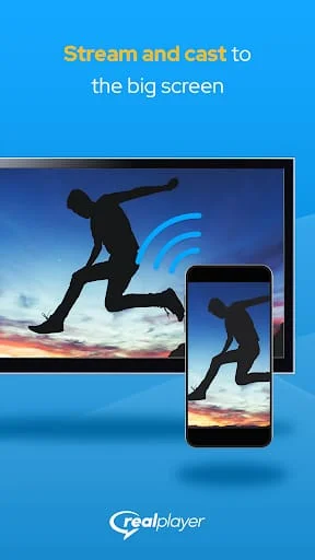 RealPlayer Screenshot 2