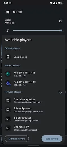 Yatse: Kodi remote and cast Screenshot 2