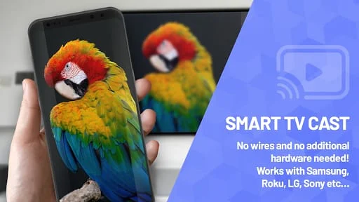 Smart TV Cast Screen Mirroring Screenshot 1