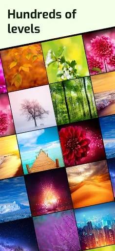 6 Tries 1 Word Screenshot 4