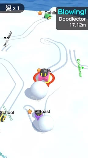 Snowball.io Screenshot 3